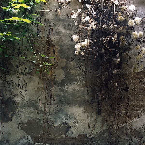 Imagining the Tri Chord