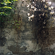 Imagining the Tri Chord