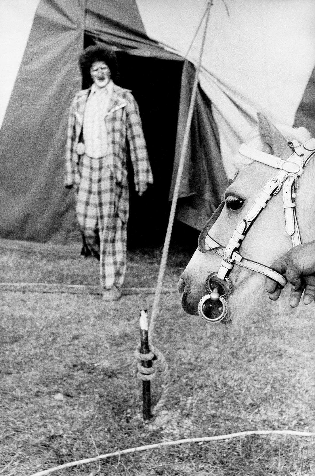 Hungarian-State-Circus-1988